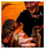 Supermarché d'activités Rencontrez les suricates pour deux