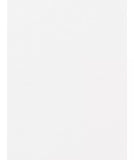 Imprimante photo mobile Canon Zoemini 2