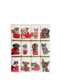 House of Dorchester Dog & Cat Valentine's Milk Chocolate Slims, Pack of 12, 120g - McGrocer