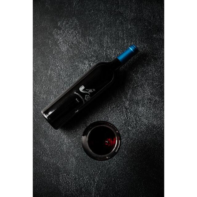 Babylonstoren Babel Red Blend 75cl - McGrocer