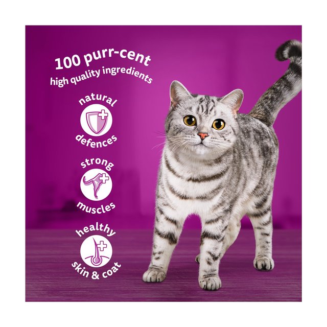 Whiskas 1+ Adult Wet Cat Food Pouches Fish Favourites in Jelly 80 x 85g GOODS M&S