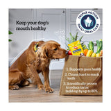 Pedigree Dentastix Daily Adult Large Dog Treats Dental Sticks