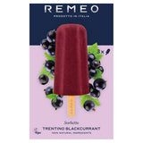 Remeo Gelato Trentino Blackcurrant Sorbet Lolly