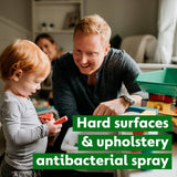 Dettol All-in-One Antibacterial Spray Summer Fruits