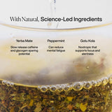 MISSION Focus Yerba Mate Tea Bags with Peppermint Liquorice