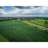 Belton Farm Smoked Red Fox