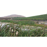 Bread Butter Cabernet Sauvignon