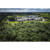 Belton Farm Smoked Red Fox