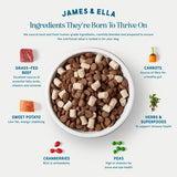 James Ella Kibble Freeze Dried Raw Beef Dog Food
