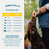 James Ella Freeze-Dried Raw Chicken Dog Treats