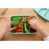 GoGo squeeZ Fruit Smoothie Snack Apple 4X90g