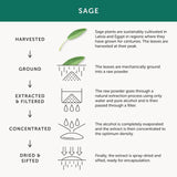 Together Menopause Supplement 60 per pack GOODS M&S