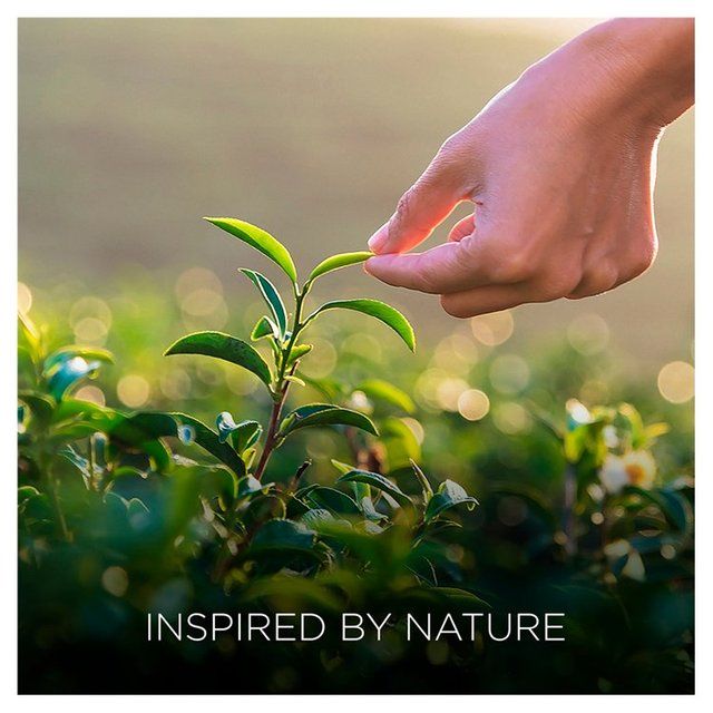 Airwick Botanica Room Spray Caribbean Vetiver & Sandalwood 237ml - McGrocer