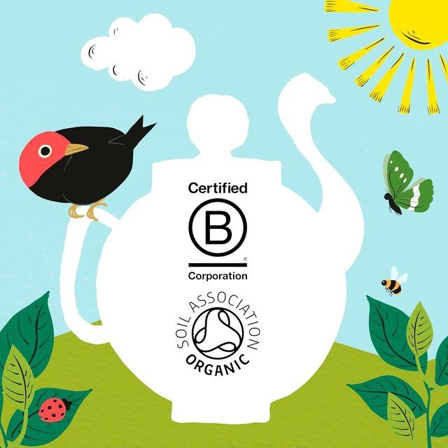 Clipper Organic Everyday 160 Tea bags 160 per pack