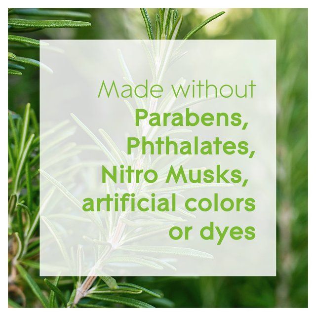 Glade Aromatherapy Reed Diffuser Refreshing Energy 80ml