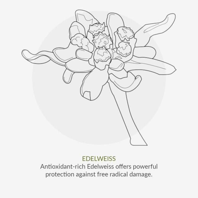 Green People SPF 15 Sun Cream With Tan Accelerator 200ml