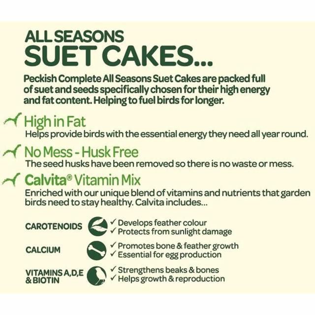 Peckish Complete Suet Cake Block For Wild Birds 300g