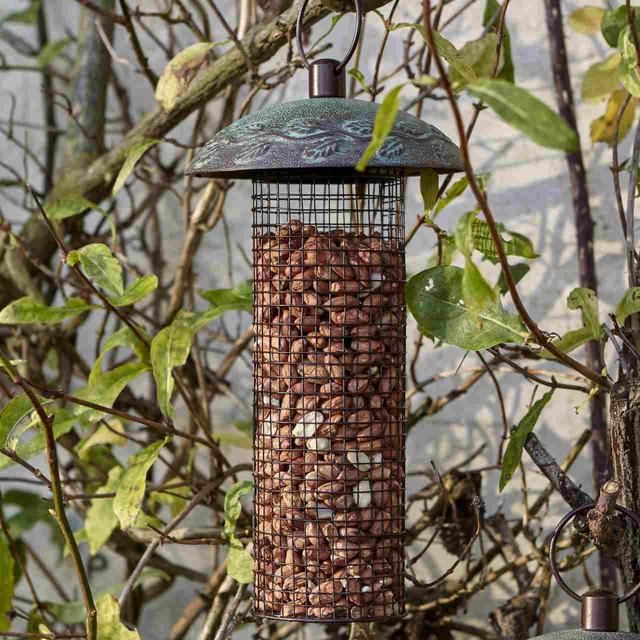 Peckish Peanuts For Wild Birds 1kg
