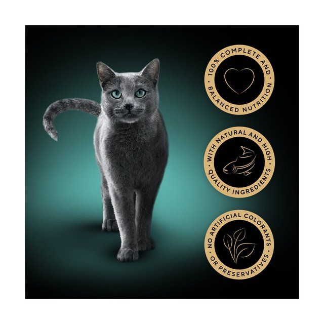 Sheba Fine Flakes Cat Food Pouches MSC Fish in Jelly Giant Pack 80 x 85g