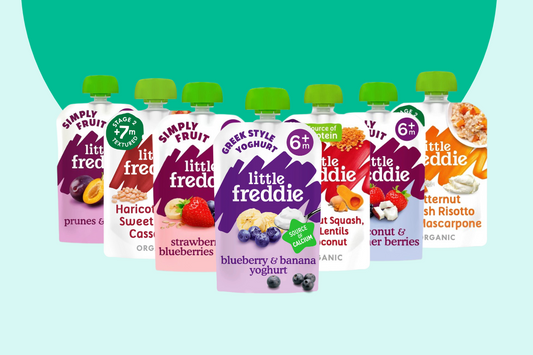 Explore Top 6 Little Freddie Products and Why They're Ideal For Your Baby's Tummy