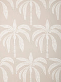 Papier peint John Lewis ANYDAY Desert Palm