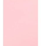 Imprimante photo mobile Canon Zoemini 2