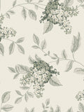 Papier peint Laura Ashley Portland Fern 127393 