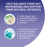 Purina One Adult Dry Cat Food Salmon & Wholegrain 3kg