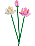 Fleurs de lotus 
