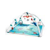 Tiny Love Musical Gymini Trésor de l'Océan