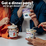 Haagen-Dazs Lotus Biscoff Biscuit Ice Cream