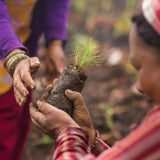 Pukka Organic Relax Tea With Chamomile x20 Home Compostable Herbal Tea Bags