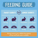 Excel Junior  Dwarf Rabbit Nuggets With Mint