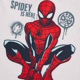 MS Spiderman Swim Set 2 Pack 2-3 Years Red