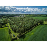 Belton Farm Smoked Red Fox