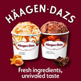 Haagen Dazs Indulgence Collection