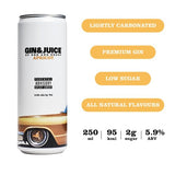 Gin  Juice Apricot Can
