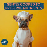 BOOST Pet Fish Supper Meal for Dogs