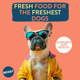 BOOST Pet Fish Supper Meal for Dogs