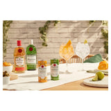 Tanqueray London Dry Gin & Tonic Ready to Drink Can   250ml GOODS M&S   