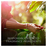 Airwick Botanica Room Spray Caribbean Vetiver & Sandalwood   237ml - McGrocer