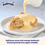 Ambrosia Devon Custard    500g - McGrocer