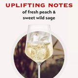 Asti Martini Sparkling Italian Wine   75cl - McGrocer