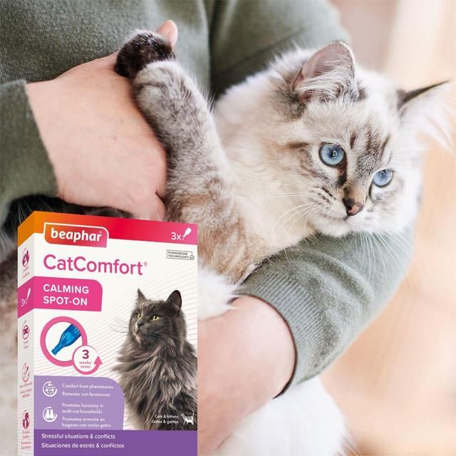 Beaphar CatComfort Calming Spot-On for Cats   3 per pack - McGrocer