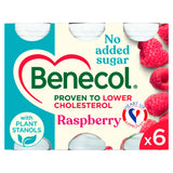 Benecol Raspberry No Added Sugar Yogurt Drink 6x67.5g - McGrocer