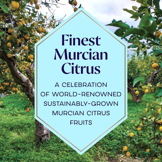 Bombay Sapphire Premier Cru Murcian Lemon Distilled London Dry Gin   70cl - McGrocer