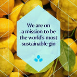 Bombay Sapphire Premier Cru Murcian Lemon Distilled London Dry Gin   70cl - McGrocer