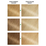 Garnier Nutrisse 100 Extra Light Blonde Permanent Hair Dye