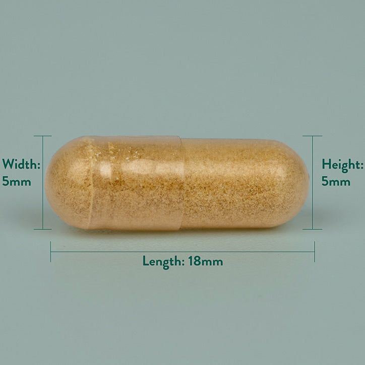 Holland &amp;amp; Barrett Echinacea Cold &amp;amp; Flu 100 Capsules 140mg