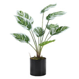 Calathea artificielle en pot Livingandhome White Fusion